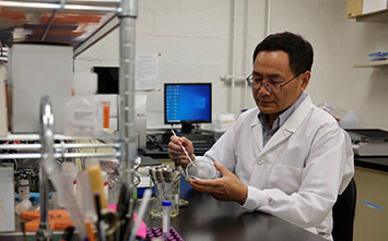 A researcher working in a microbiology lab..