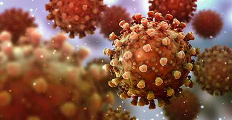 coronaviruses, virus that causes respiratory infections.